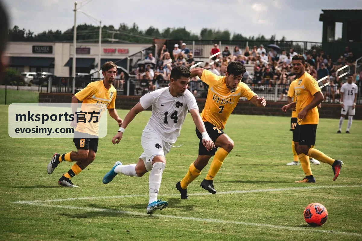 mksports官方 赛季数据归档与查询