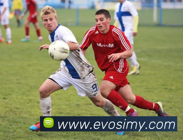 世界杯官方入口平台生态图